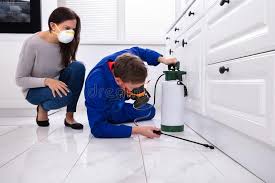 Best Pest Exclusion Services  in Mission Bend, TX